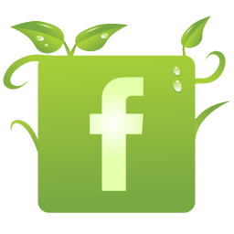 VegeCity Facebook Page